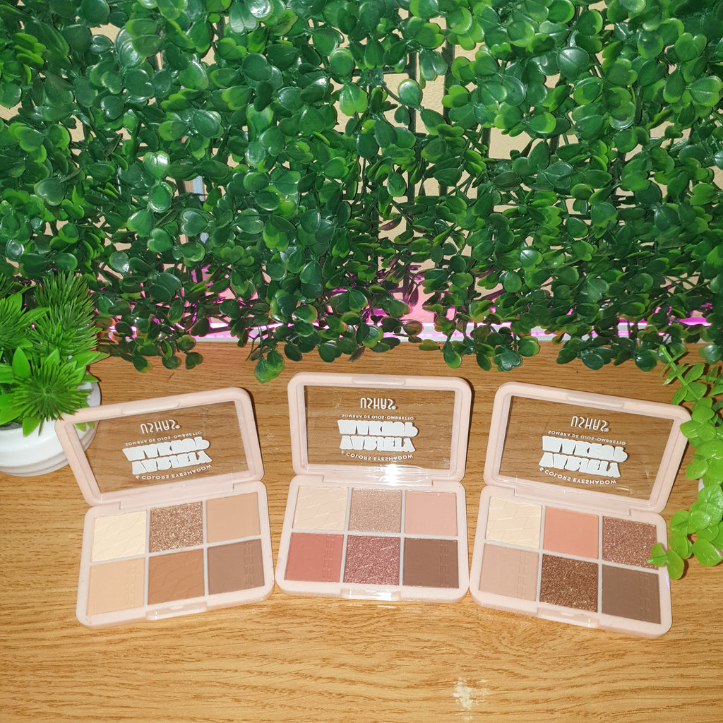 Ushas Variety Makeup Eyeshadow Palette 6 Colour
