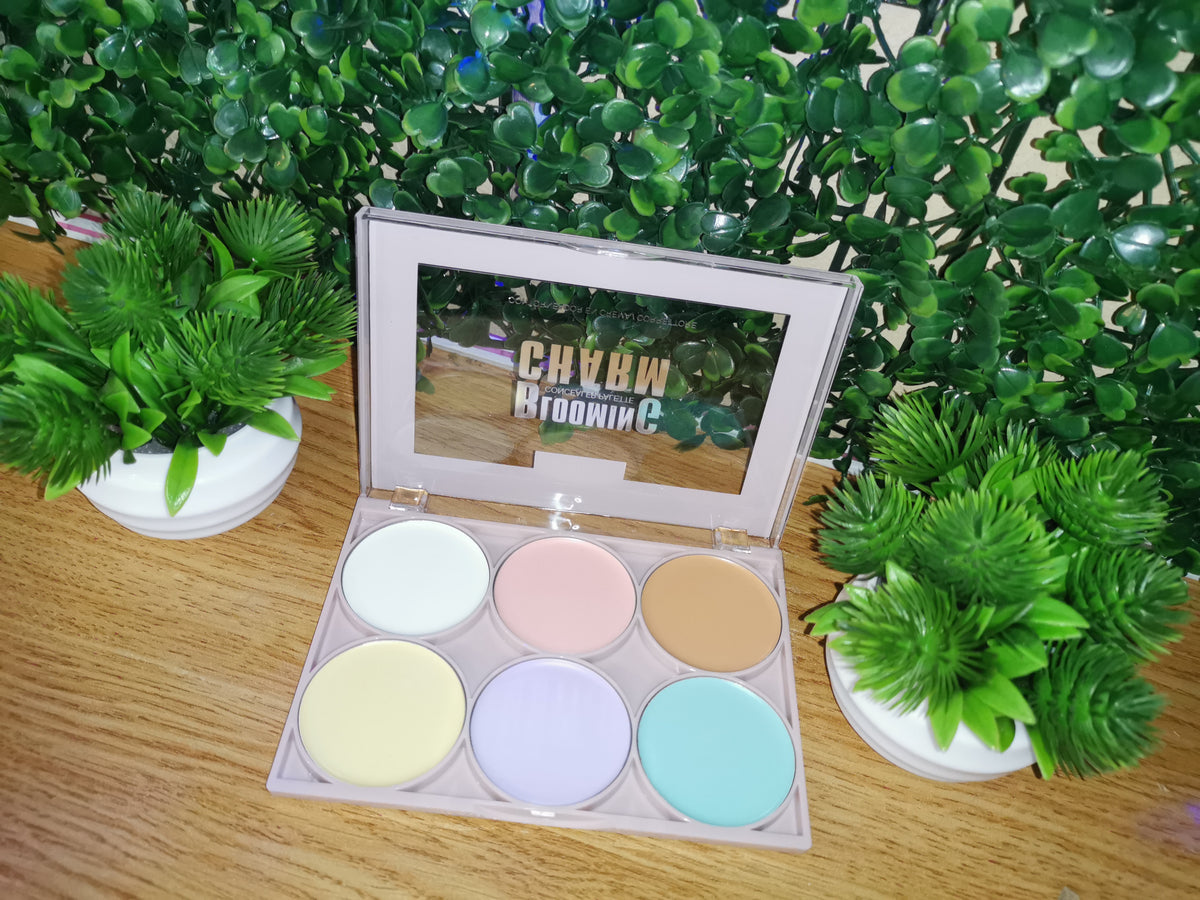 Colour Corrector Palette