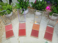 2 in 1 Powder Blush